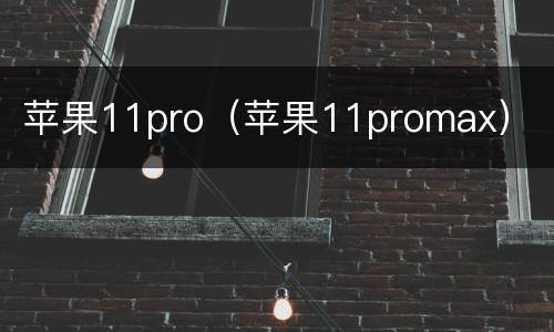 苹果11pro（苹果11promax）