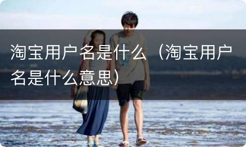 淘宝用户名是什么（淘宝用户名是什么意思）