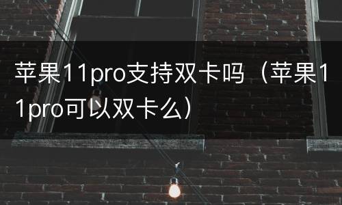 苹果11pro支持双卡吗（苹果11pro可以双卡么）