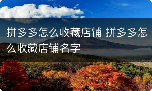 拼多多怎么收藏店铺 拼多多怎么收藏店铺名字