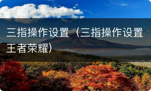 三指操作设置（三指操作设置王者荣耀）
