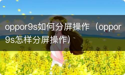 oppor9s如何分屏操作（oppor9s怎样分屏操作）