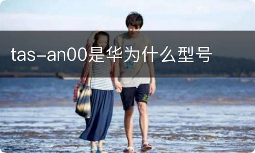 tas-an00是华为什么型号