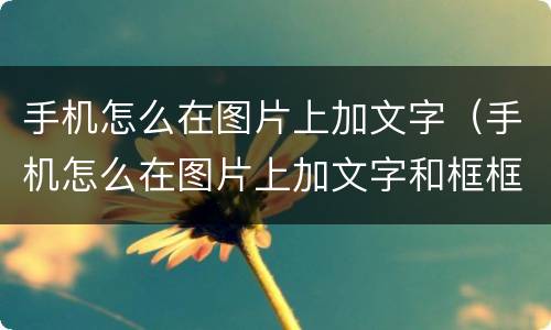 手机怎么在图片上加文字（手机怎么在图片上加文字和框框）