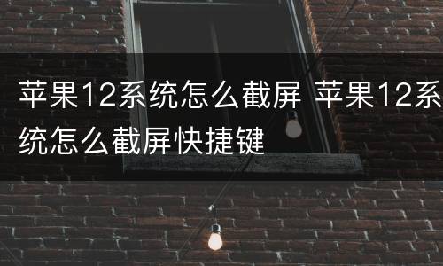 苹果12系统怎么截屏 苹果12系统怎么截屏快捷键