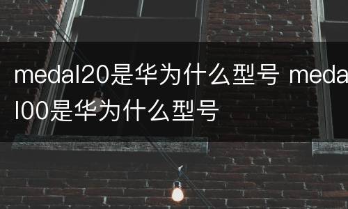 medal20是华为什么型号 medal00是华为什么型号