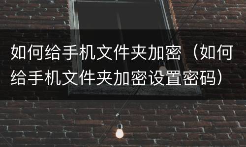 如何给手机文件夹加密（如何给手机文件夹加密设置密码）