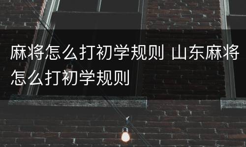 麻将怎么打初学规则 山东麻将怎么打初学规则