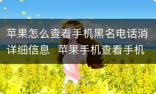 苹果怎么查看手机黑名电话消详细信息  苹果手机查看手机黑名单详细信息
