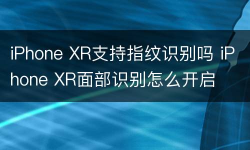 iPhone XR支持指纹识别吗 iPhone XR面部识别怎么开启