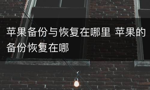 苹果备份与恢复在哪里 苹果的备份恢复在哪