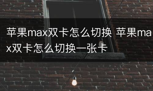 苹果max双卡怎么切换 苹果max双卡怎么切换一张卡