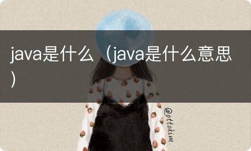 java是什么（java是什么意思）