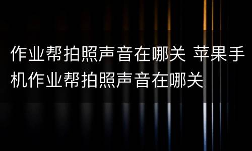 作业帮拍照声音在哪关 苹果手机作业帮拍照声音在哪关