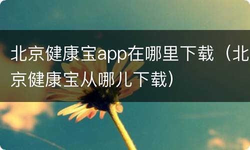 北京健康宝app在哪里下载（北京健康宝从哪儿下载）