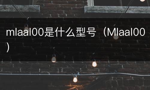 mlaal00是什么型号（Mlaal00）