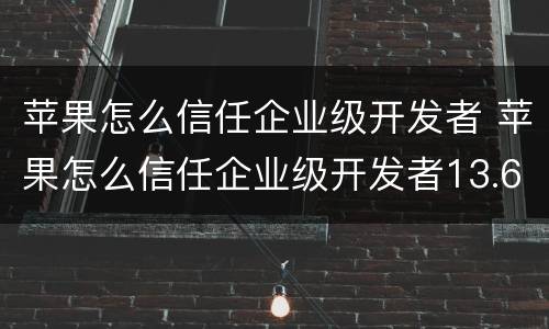苹果怎么信任企业级开发者 苹果怎么信任企业级开发者13.6
