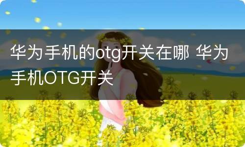 华为手机的otg开关在哪 华为手机OTG开关