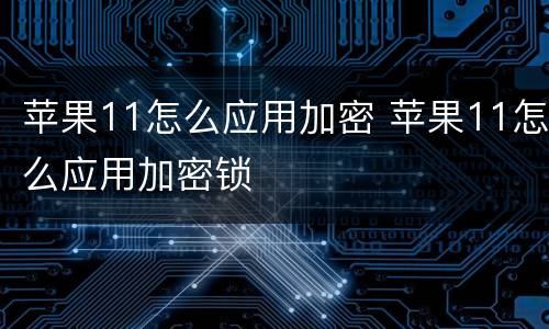 苹果11怎么应用加密 苹果11怎么应用加密锁