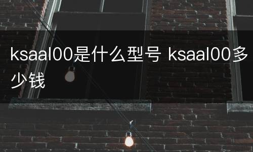 ksaal00是什么型号 ksaal00多少钱