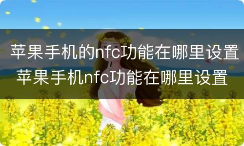苹果手机的nfc功能在哪里设置 苹果手机nfc功能在哪里设置方法