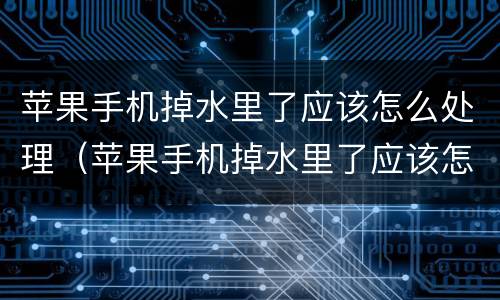 苹果手机掉水里了应该怎么处理（苹果手机掉水里了应该怎么处理方法）