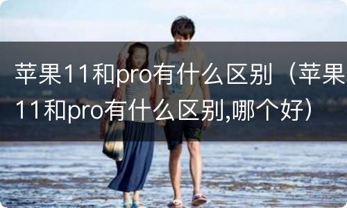 苹果11和pro有什么区别（苹果11和pro有什么区别,哪个好）