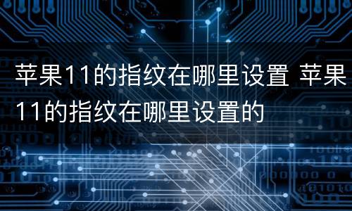 苹果11的指纹在哪里设置 苹果11的指纹在哪里设置的