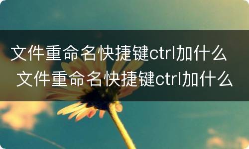 文件重命名快捷键ctrl加什么 文件重命名快捷键ctrl加什么字母