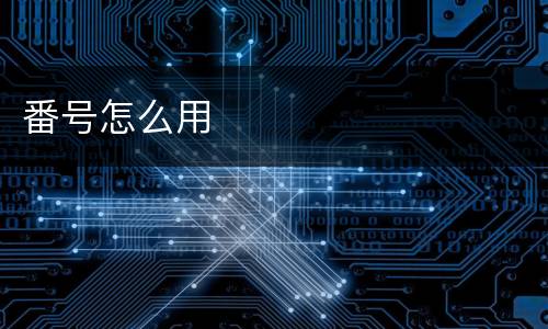 番号怎么用