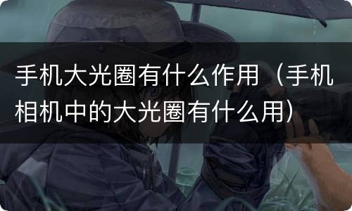 手机大光圈有什么作用（手机相机中的大光圈有什么用）