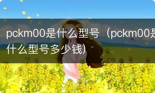 pckm00是什么型号（pckm00是什么型号多少钱）