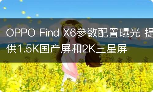OPPO Find X6参数配置曝光 提供1.5K国产屏和2K三星屏