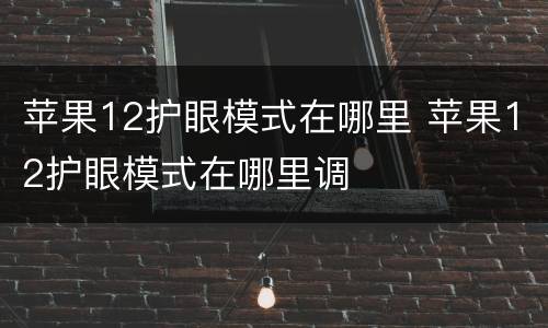 苹果12护眼模式在哪里 苹果12护眼模式在哪里调