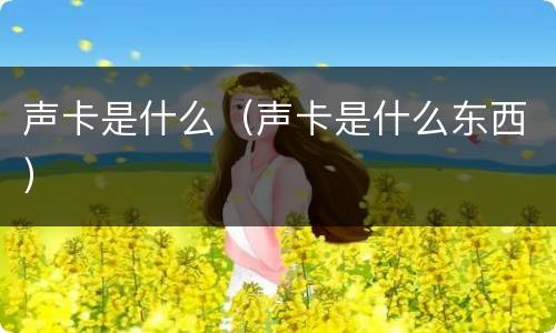 声卡是什么（声卡是什么东西）