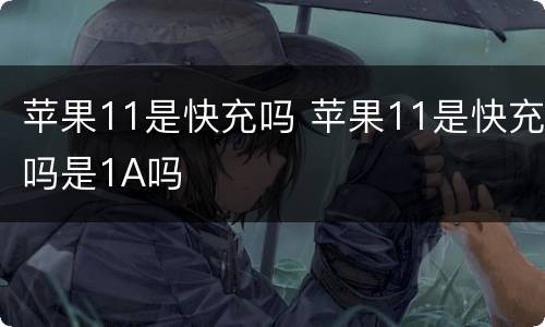 苹果11是快充吗 苹果11是快充吗是1A吗