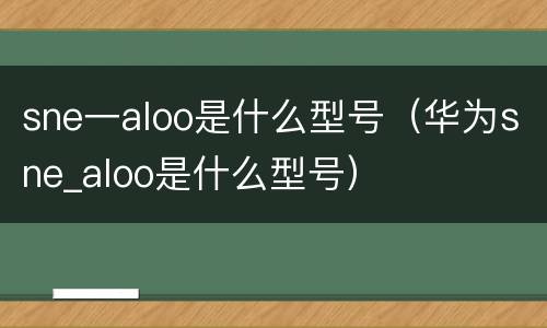 sne一aloo是什么型号（华为sne_aloo是什么型号）