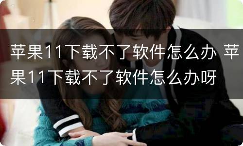 苹果11下载不了软件怎么办 苹果11下载不了软件怎么办呀