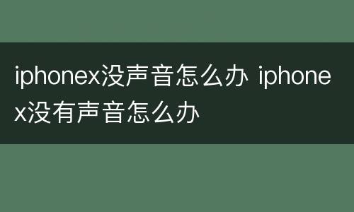 iphonex没声音怎么办 iphonex没有声音怎么办