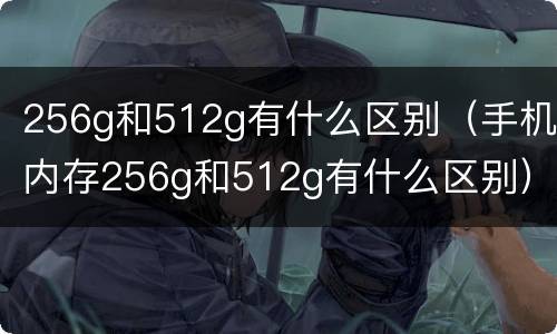 256g和512g有什么区别（手机内存256g和512g有什么区别）