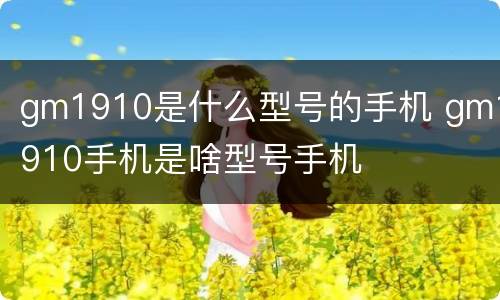 gm1910是什么型号的手机 gm1910手机是啥型号手机