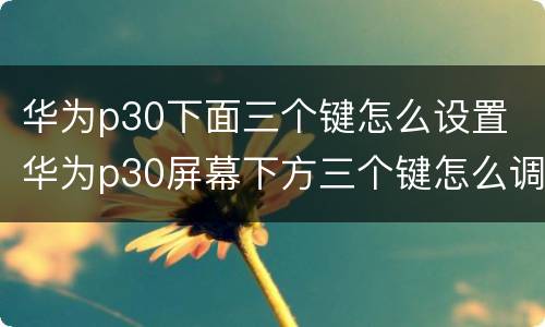 华为p30下面三个键怎么设置 华为p30屏幕下方三个键怎么调出来