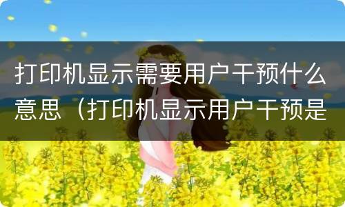 打印机显示需要用户干预什么意思（打印机显示用户干预是什么意思）