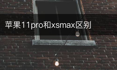 苹果11pro和xsmax区别