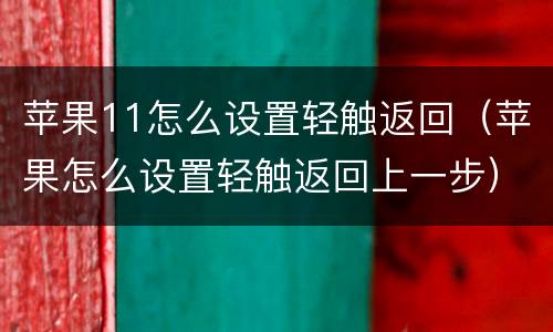 苹果11怎么设置轻触返回（苹果怎么设置轻触返回上一步）
