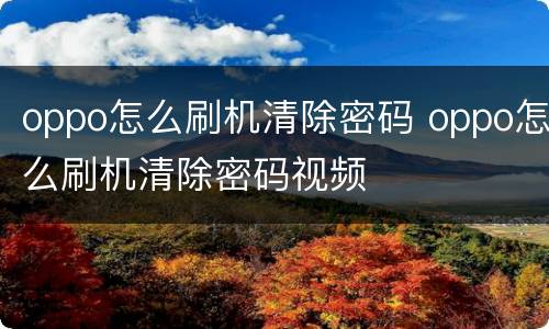 oppo怎么刷机清除密码 oppo怎么刷机清除密码视频