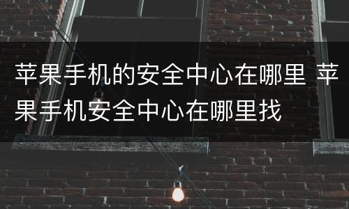 苹果手机的安全中心在哪里 苹果手机安全中心在哪里找