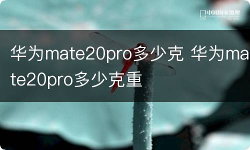 华为mate20pro多少克 华为mate20pro多少克重