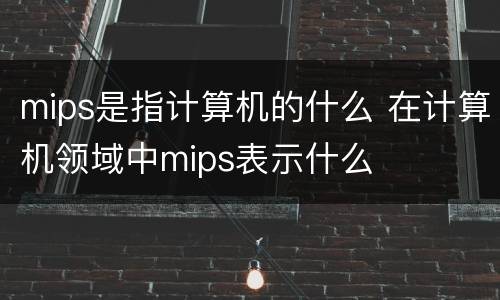 mips是指计算机的什么 在计算机领域中mips表示什么