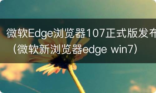 微软Edge浏览器107正式版发布（微软新浏览器edge win7）